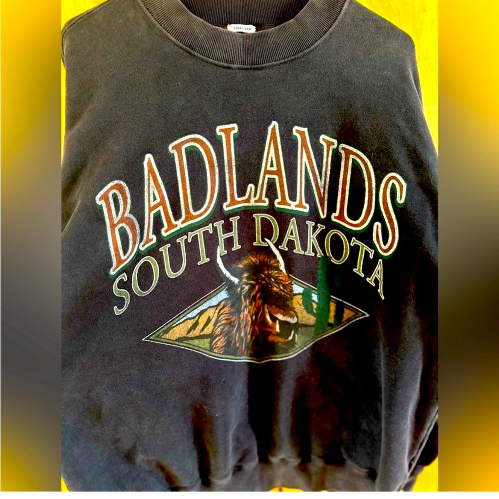 NWT Abercrombie Badlands Sweater